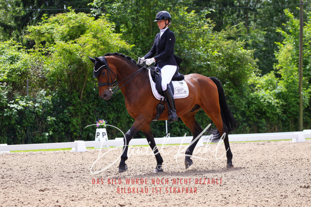 DKP41076 | Turnierfotos kaufen im Webshop von Daniel Kuhl Photography – entdecke professionelle Reitsportfotos aus Turnieren & Events. Hochwertige Turnierbilder online bestellen & sichern. Jetzt Fotos von Reitsportturnieren kaufen!