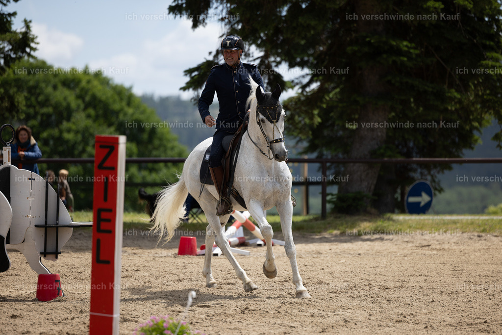 Masterclass_stoibphotography_C2_C8630.CR3 | working equitationturnier fotograf videograf stoibphotography marixx film working equitation deutschland reitsport turnierfotografie eventfotografie equestrian events