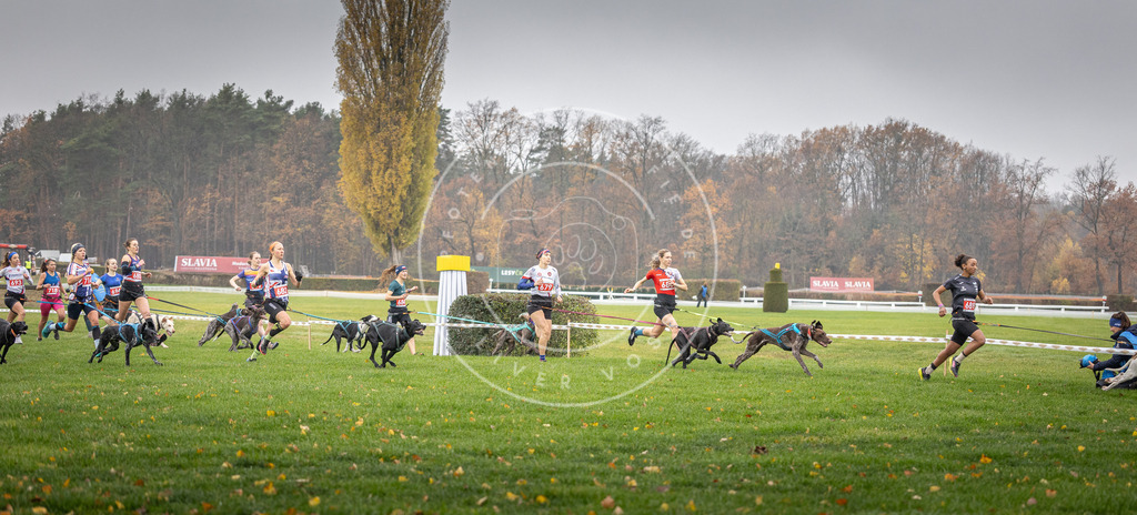 CaniXpix_DV3A8733 | Hundefotografie, Tierfotograf, Pfotenfotografie, Fotoshooting Hund, Hunde Portrait, Hundesport, Hundeportraits, Heideshooting, Hunde, Sportfotograf, Hundefotograf, Turnierhundsport, THS,  - Realisiert mit Pictrs.com