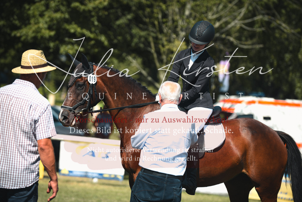 DSC_7304 | Pferde- und Turnierfotografie in Westsachsen. Pferdeportraits, Auftragszeichnungen und intuitive Kunst.