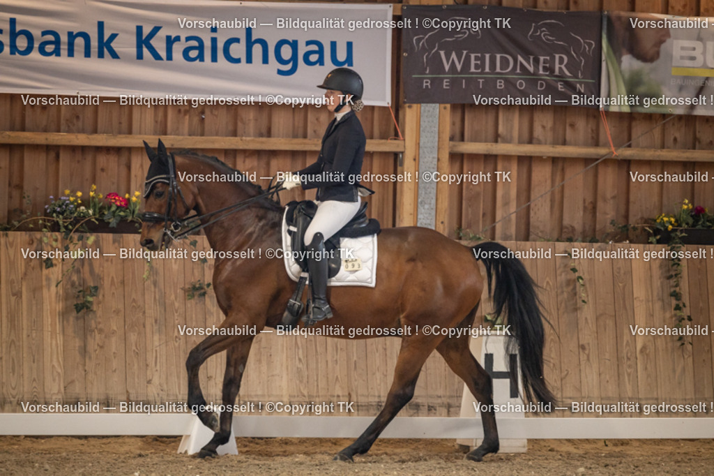 _D5A8868 | Emotionale Pferde- & People-Fotografie rund um Heidelberg, Leimen & Umgebung. Natürliche Fotos von Pferd, Mensch & Familie. Jetzt Termin sichern!