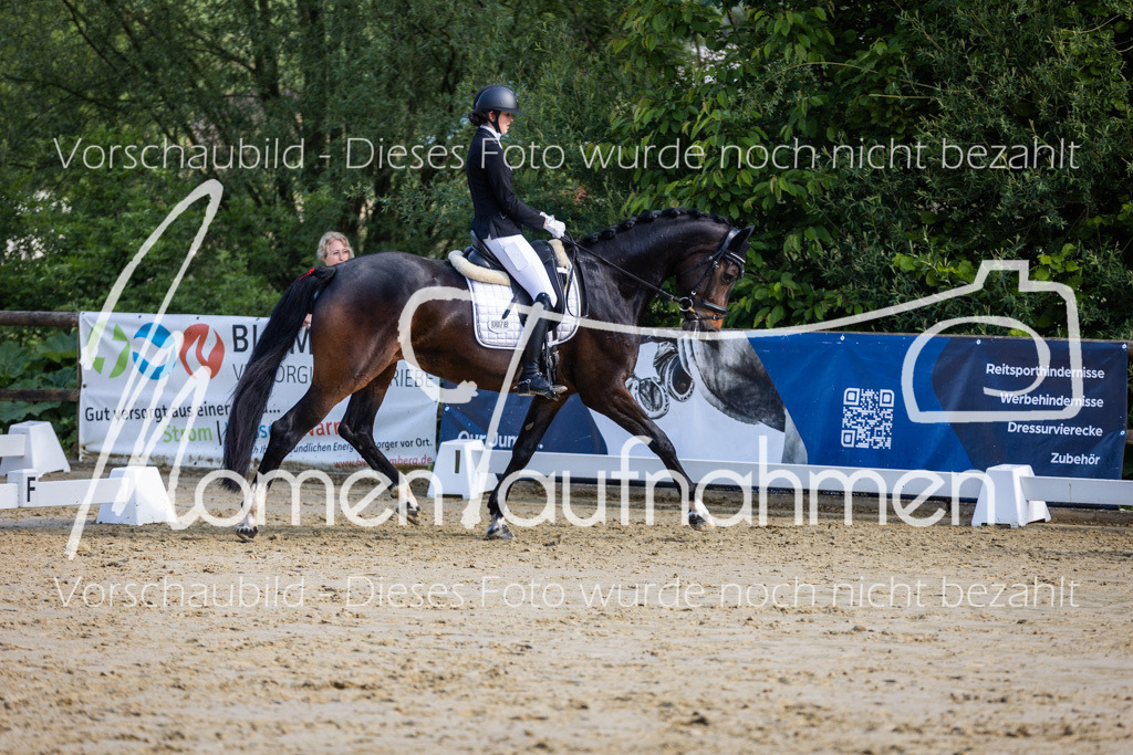 Donop24-A-Dre-075 | MomenTaufnahmen Pferdesportfotos