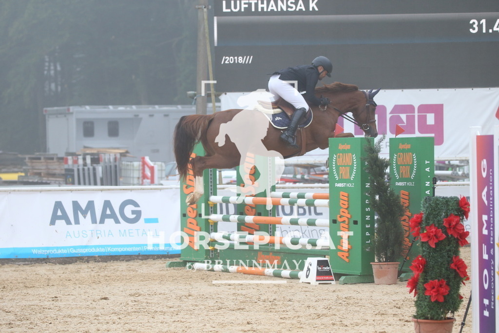 DL2Q2982 | Willkommen bei Brunnmayr - Design & Fotografie – Ihrem Spezialisten für Reitturniere und Pferdeveranstaltungen in Oberösterreich, Salzburg und Bayern! Seit über 17 Jahren sind wir leidenschaftlich dabei.