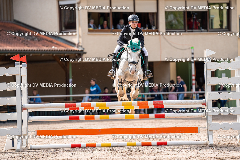 Eppelheim Tag 2-655 | dv-media-shop - Realisiert mit Pictrs.com