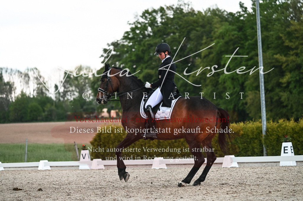 20230514_JK-Röhrsdorf-21-521 | Pferde- und Turnierfotografie in Westsachsen. Pferdeportraits, Auftragszeichnungen und intuitive Kunst.