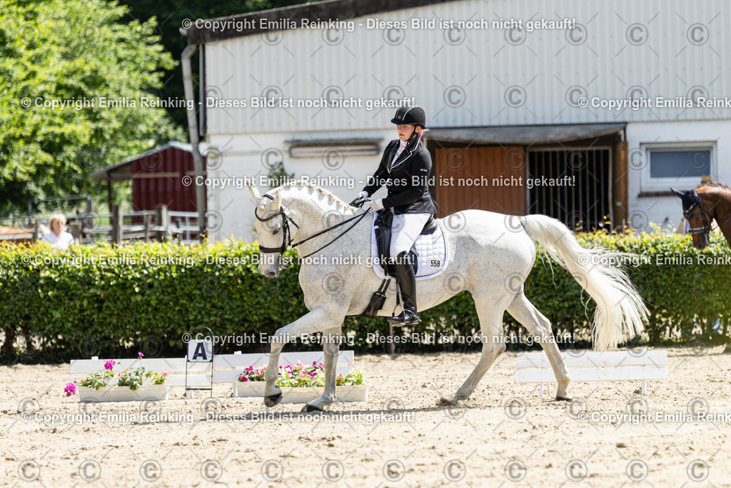 CL5A8197 | Emilia Reinking Fotografie - Realisiert mit Pictrs.com