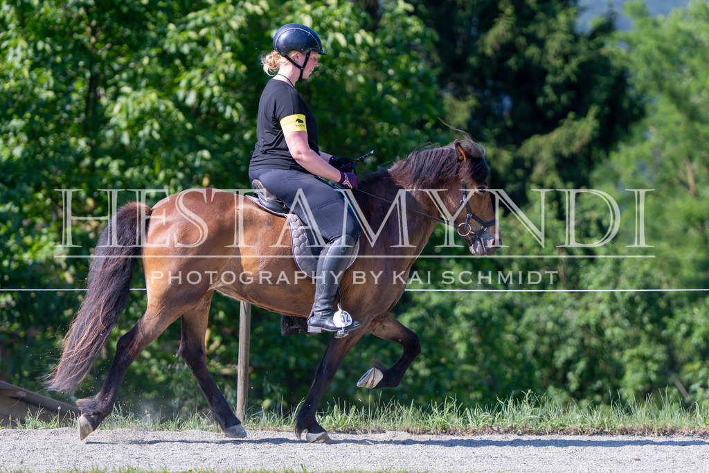 KAI06757 | Ihr sucht einen Fotografen für eure nächste OSI? Ich begleite auch euer Turnier für Islandpferde fotografisch.  - Realisiert mit Pictrs.com