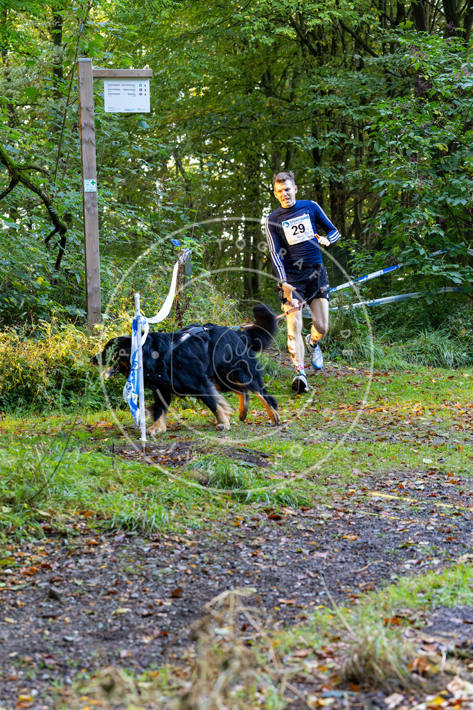 Pfotenfotografie_DV3A6612 | Hundefotografie, Tierfotograf, Pfotenfotografie, Fotoshooting Hund, Hunde Portrait, Hundesport, Hundeportraits, Heideshooting, Hunde, Sportfotograf, Hundefotograf, Turnierhundsport, THS,  - Realisiert mit Pictrs.com