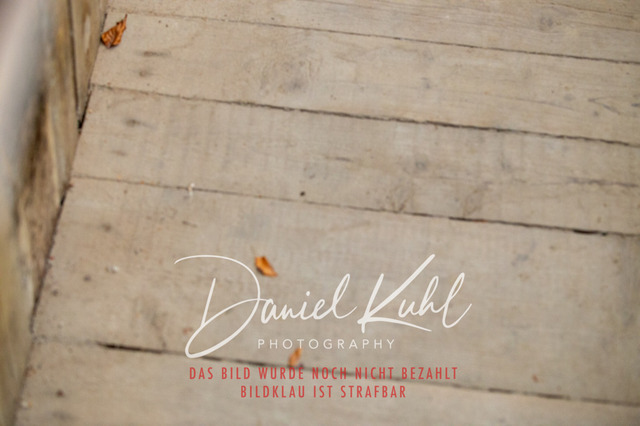 IMG_1843 | Turniersportfotografie; Pferdefotografie; Dressurfotografie