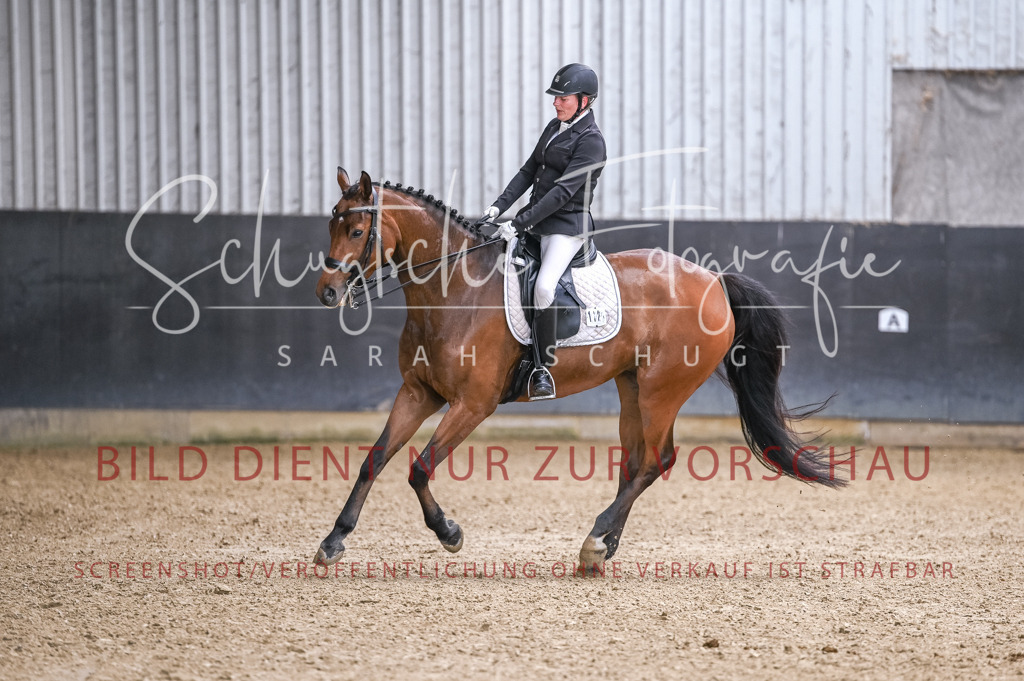 Schugtsche-Aluta25-57.Dressurprf.M1Kand-251 | Schugtsche Fotografie - Realisiert mit Pictrs.com