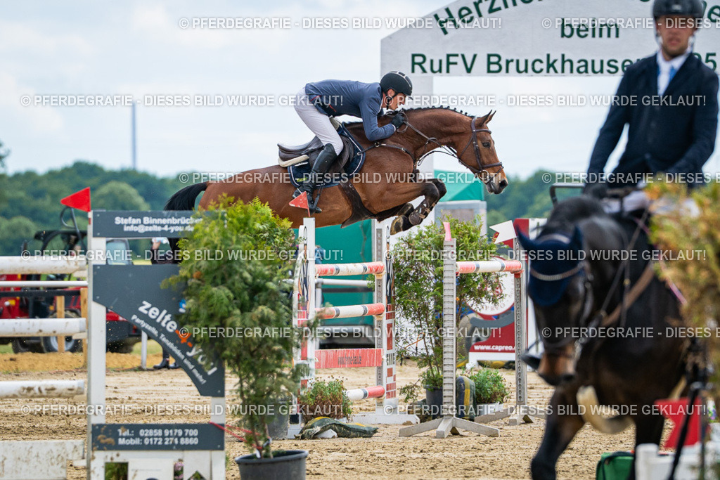 DSC06164 | Pferdegrafie