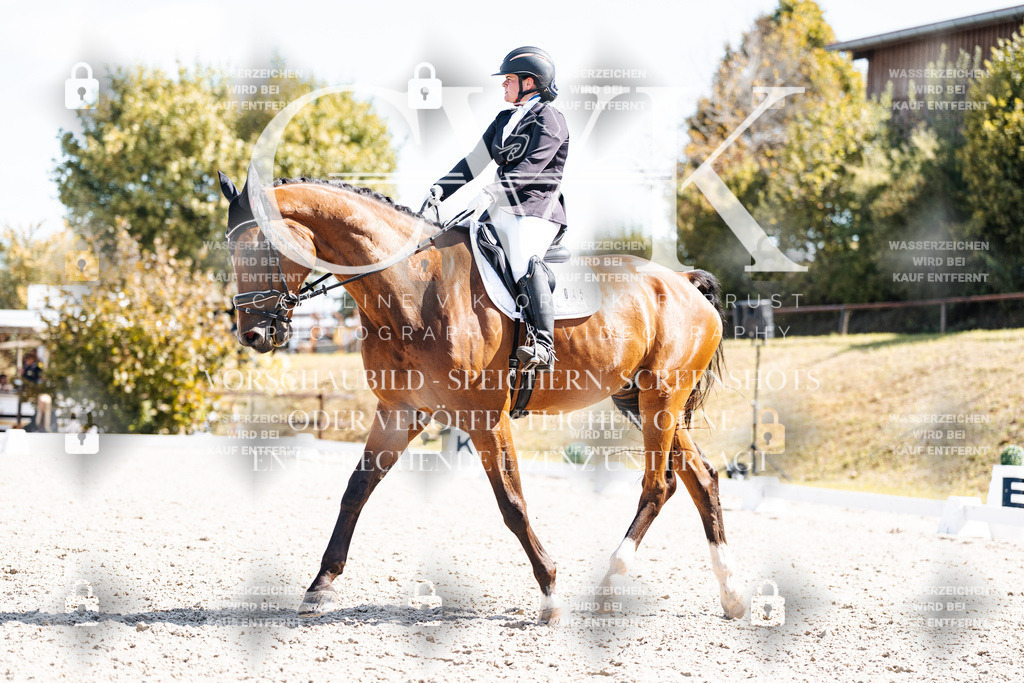 CK903249 | Turnierfotografie Pferdefotografie Trier Rheinland-Pfalz Pferdesport Reitsport Tierfotografie Sportfotografie Pferdevideo Pferdevideografie Equestrianvideography equestrianphotography  - Realisiert mit Pictrs.com