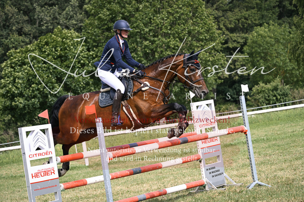 DSC_0795 | Pferde- und Turnierfotografie in Westsachsen. Pferdeportraits, Auftragszeichnungen und intuitive Kunst.