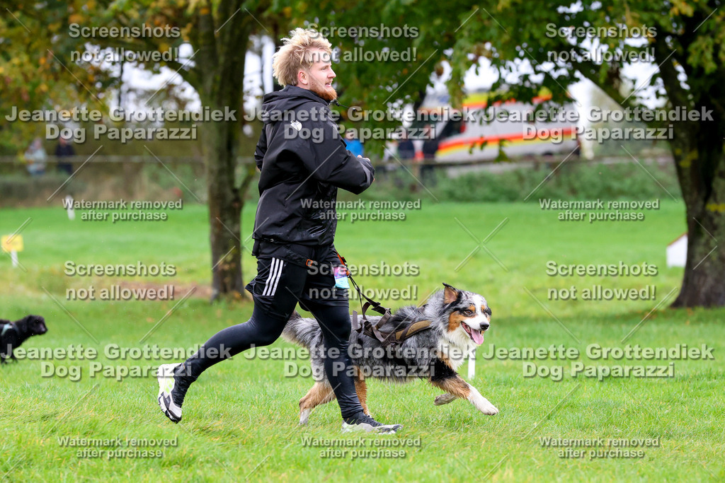 Dog Paparazzi -  SD1026-1897 | Dog Paparazzi Jeanette Grottendiek Fotografie & Videografie - Realisiert mit Pictrs.com