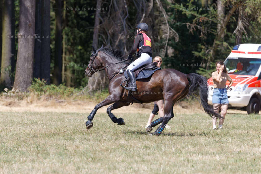 JHE33676 | JoYa Fotografie - Realisiert mit Pictrs.com