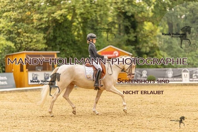 28-8-26 5j DRE-564 | mandyhollmannphotographie