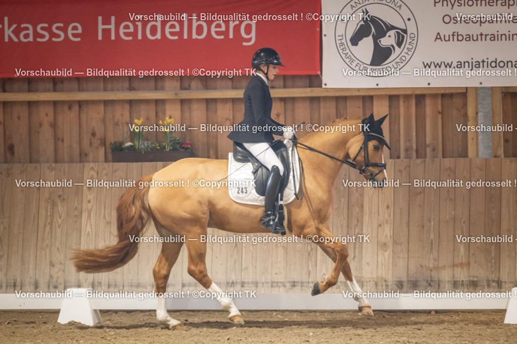 _D5A2114 | Emotionale Pferde- & People-Fotografie rund um Heidelberg, Leimen & Umgebung. Natürliche Fotos von Pferd, Mensch & Familie. Jetzt Termin sichern!