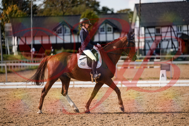 2026_10_03_Siefer-Hof_132759_Z63_87521008 | Professionelle Reitsport-, Turnier- und Eventfotografie von Robert Broda. Galerien mit ausgewählten und bearbeiteten Bildern direkt online ansehen und bestellen.