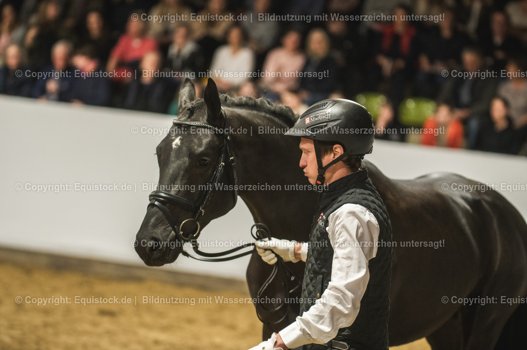 20240302_Hengstvorstellung_Marbach_TOMsPiC_1283-2 | equistock