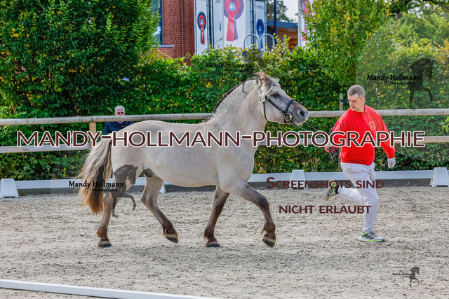 GK (651 von 759) | mandyhollmannphotographie