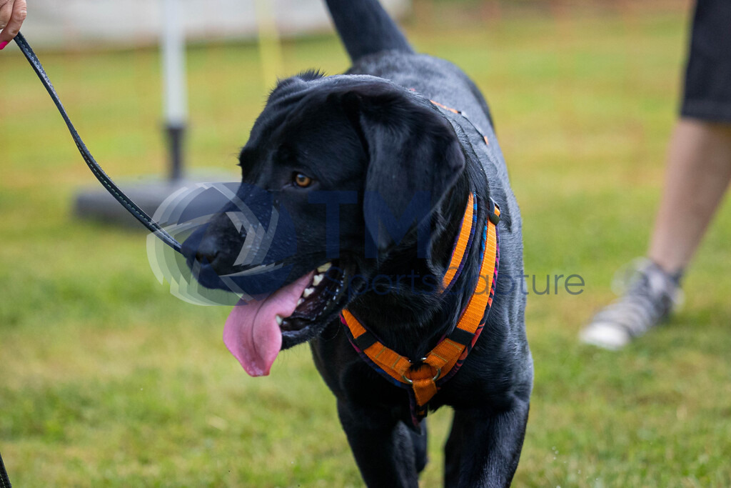 TP-20240815-0036 | Copyright: Trainproduction / Matthias Trinkl