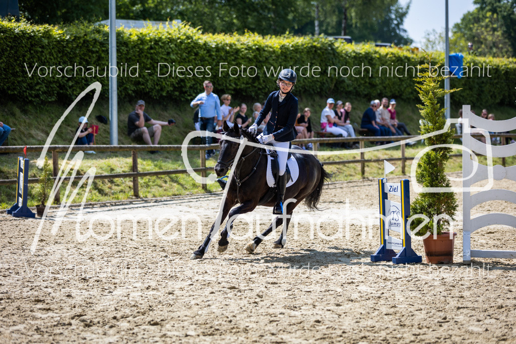 Donop24-SprRW-008 | MomenTaufnahmen Pferdesportfotos