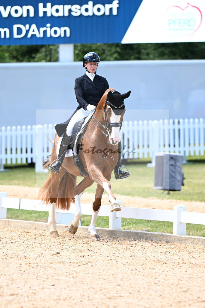 Harsdorf_Daydream d Arion_11252921 | hf-fotografie - Realisiert mit Pictrs.com