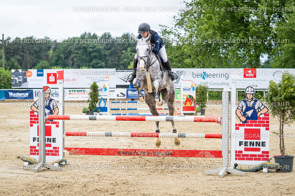 DSC05383 | Pferdegrafie