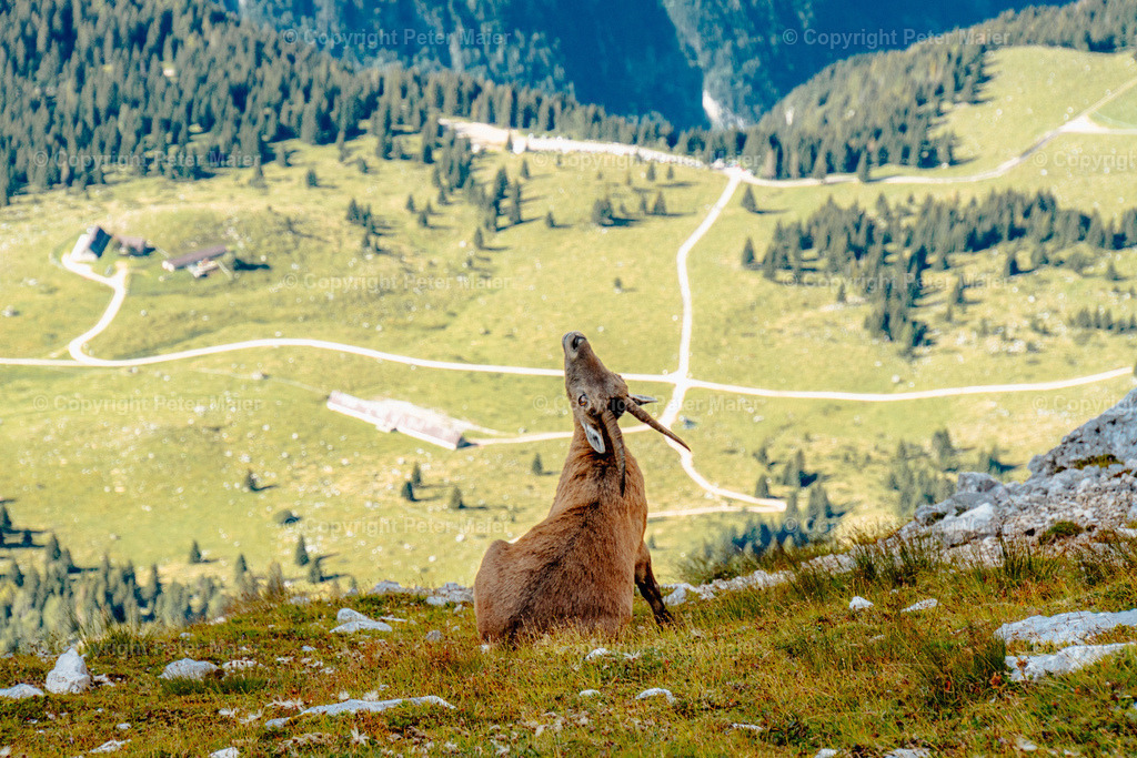 Luca_Vuerich-12 | piet_flosse