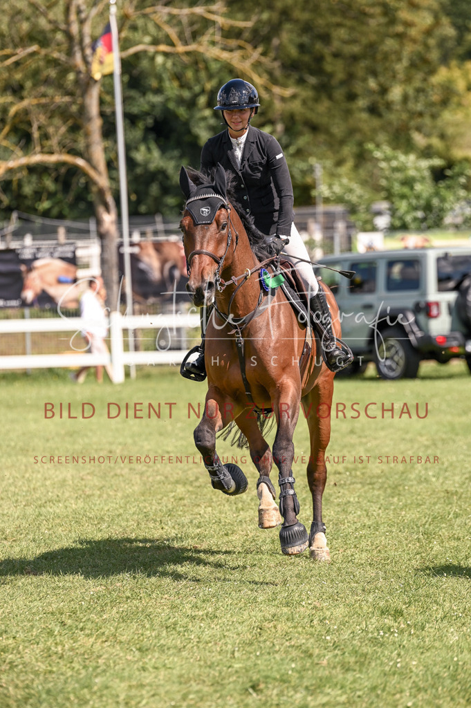 Schugtsche-Düren.2024-09.Springprf.L-236 | Schugtsche Fotografie - Realisiert mit Pictrs.com