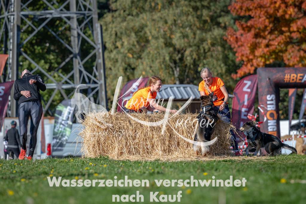 1106_ZZ92602 | kk-dogfotos