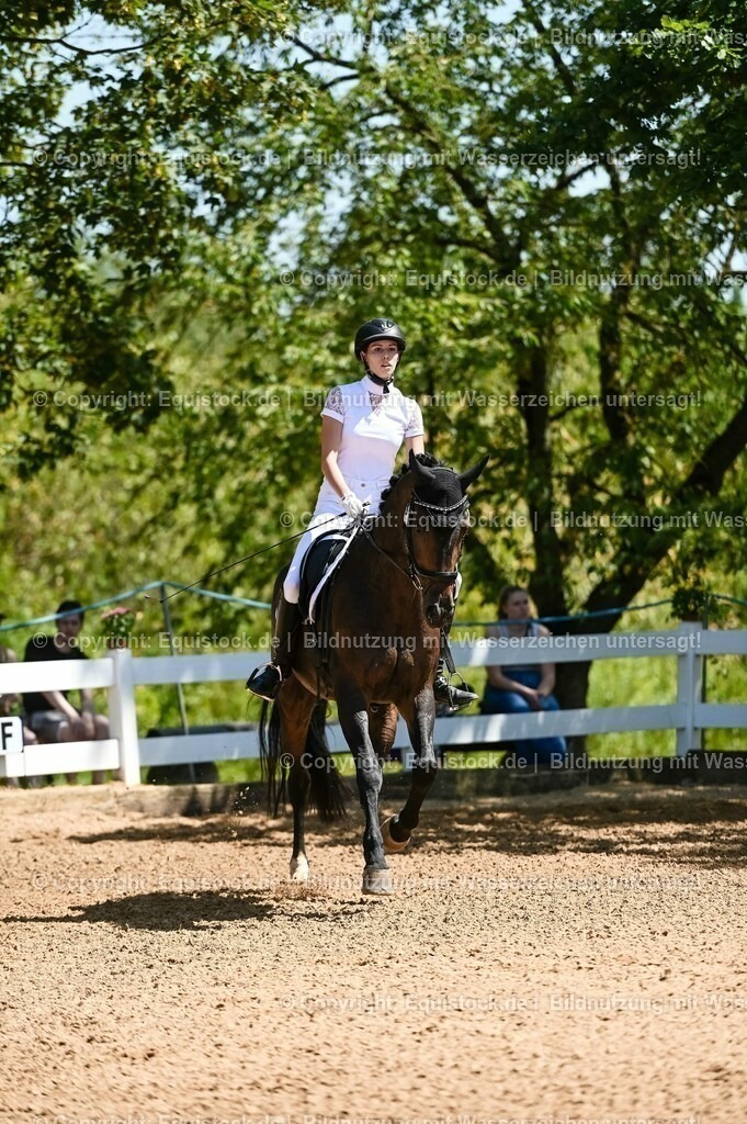 20230715_02_Dressurreiterprüfung Kl.L_0062 | equistock