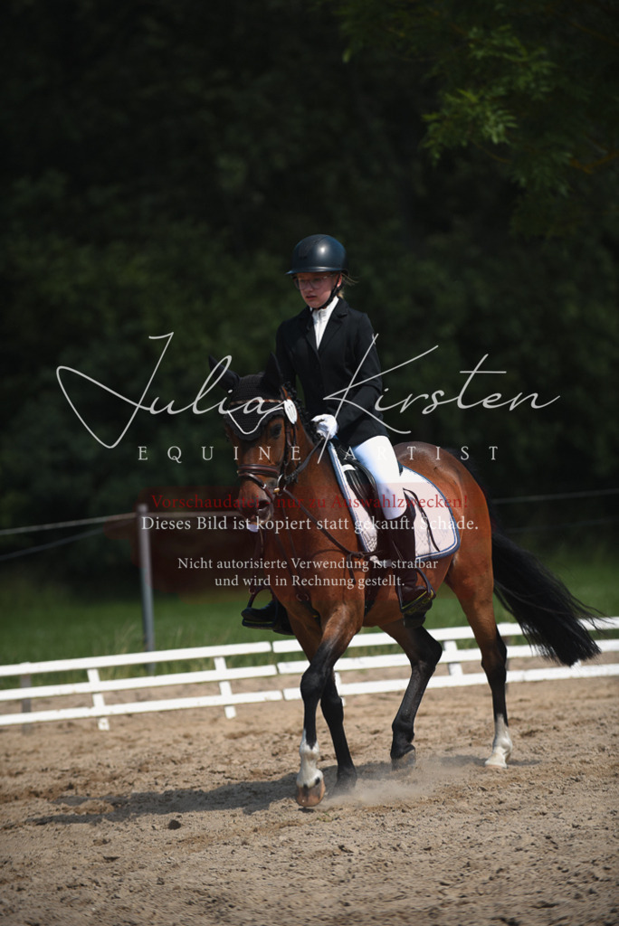 DSC_2528 | Pferde- und Turnierfotografie in Westsachsen. Pferdeportraits, Auftragszeichnungen und intuitive Kunst.