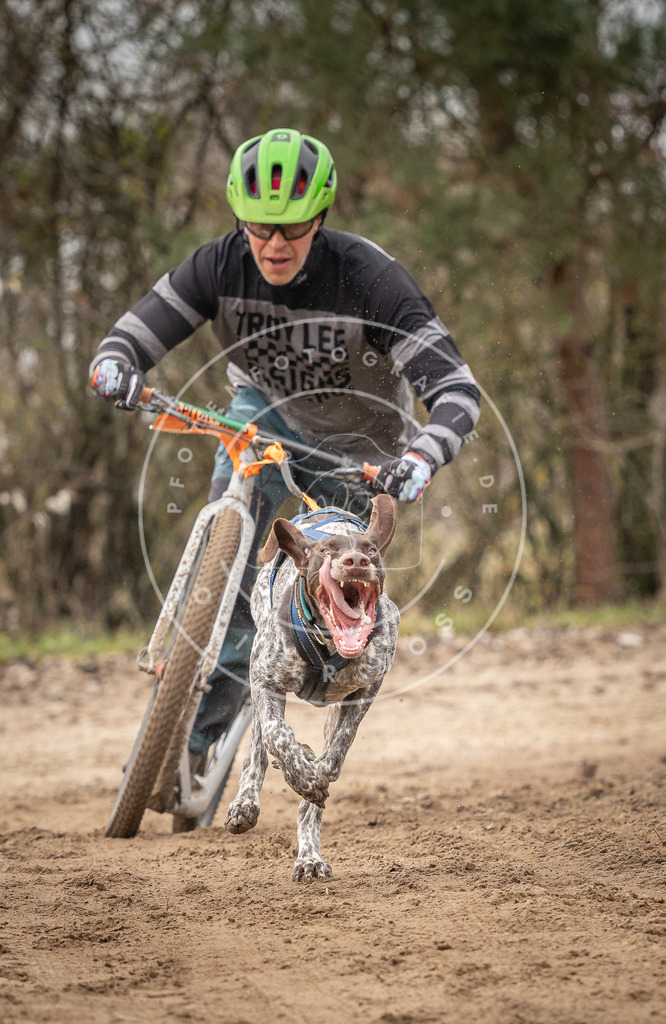 Pfotenfotografie_DV3A9468 | Hundefotografie, Tierfotograf, Pfotenfotografie, Fotoshooting Hund, Hunde Portrait, Hundesport, Hundeportraits, Heideshooting, Hunde, Sportfotograf, Hundefotograf, Turnierhundsport, THS,  - Realisiert mit Pictrs.com