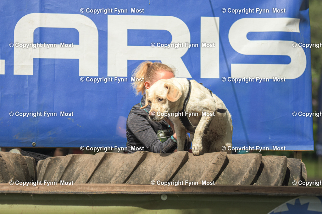 DSC_0362 | Hallo und herzlich Willkommen auf meiner Shop-Seite Fynn Most.

Ich wünsche Dir viel Spaß beim stöbern durch die Bilder, wenn Du Fragen hast oder Bilder vermisst, kannst du mir gerne eine Nachricht schreiben. - Realisiert mit Pictrs.com