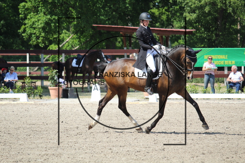 IMG_4814 | franziskalange - Realisiert mit Pictrs.com