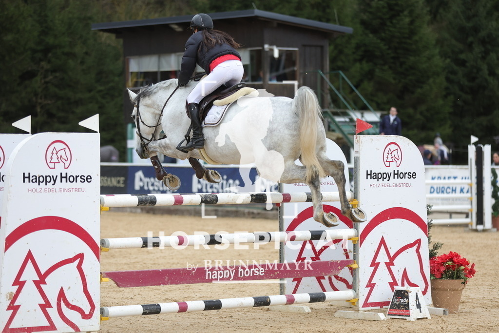 0P6A4386 | Willkommen bei Brunnmayr - Design & Fotografie – Ihrem Spezialisten für Reitturniere und Pferdeveranstaltungen in Oberösterreich, Salzburg und Bayern! Seit über 17 Jahren sind wir leidenschaftlich dabei.