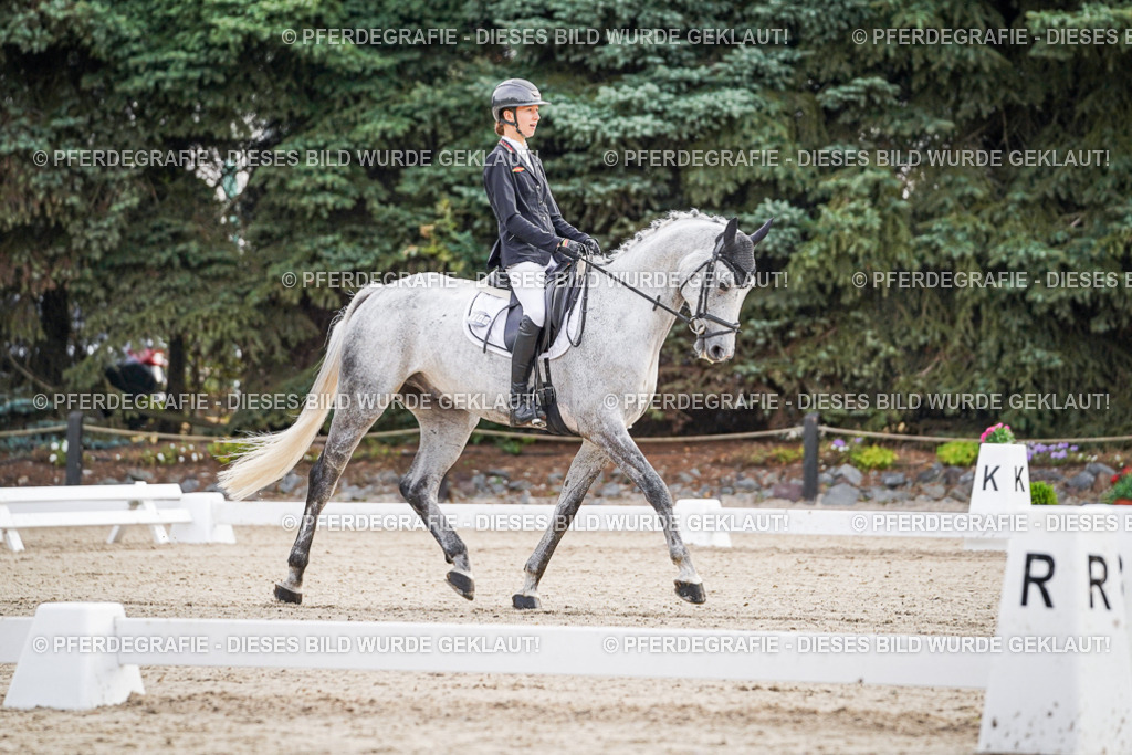 DSC00078 | Pferdegrafie