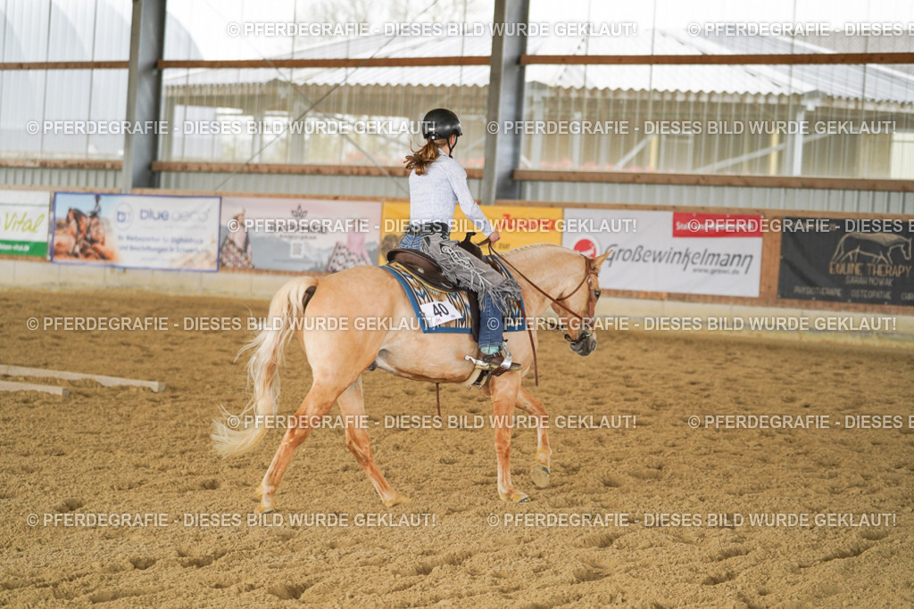 DSC03511 | Pferdegrafie