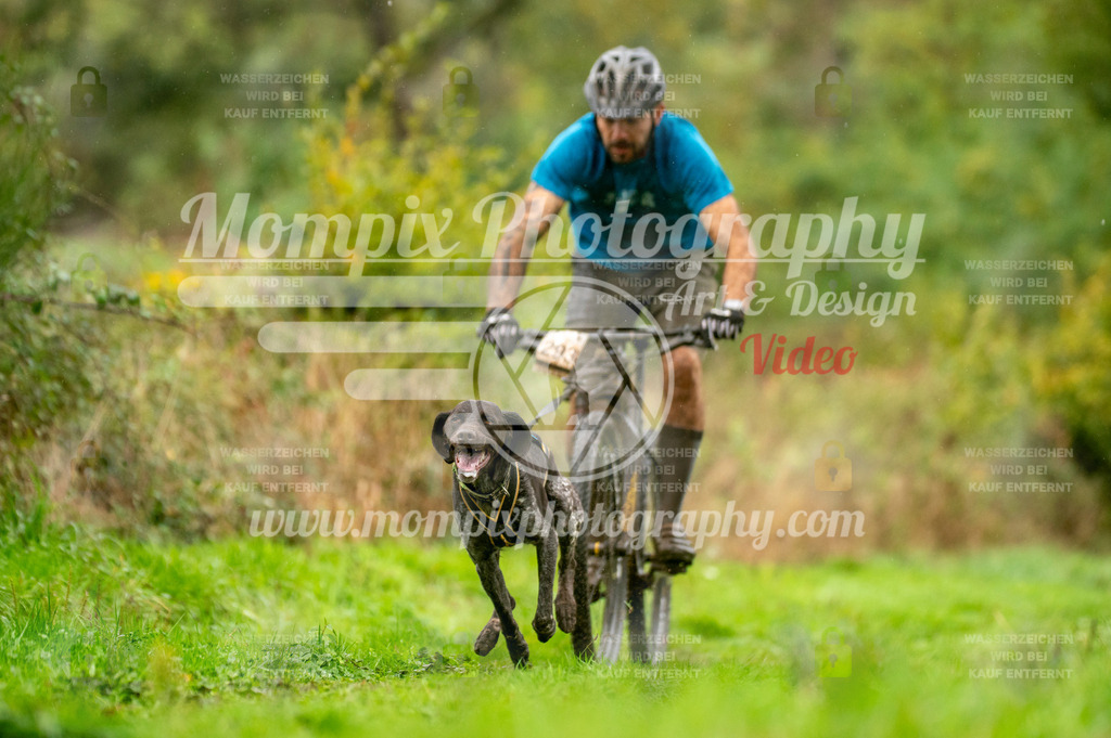 TSB_2023_E6_Bike-22 | PayLife