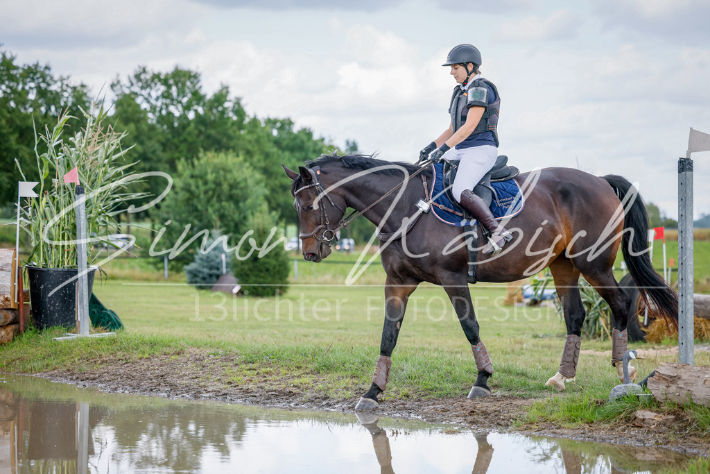 20250905-_3LI0733 | Tierfotografie Pferde, Hunde, Katzen, Haustiere.
Turnierfotografie Reitturniere, Reiten, Springreiten, Dressur in Hanau, dem Main-Kinzig-Kreis und dem Rhein-Main- Gebiet um Frankfurt