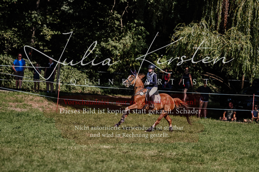 DSC_1657 | Pferde- und Turnierfotografie in Westsachsen. Pferdeportraits, Auftragszeichnungen und intuitive Kunst.