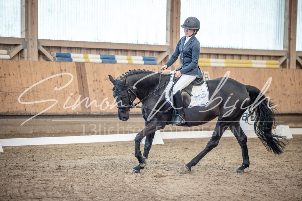 20251011-_3LI8022 | Tierfotografie Pferde, Hunde, Katzen, Haustiere.
Turnierfotografie Reitturniere, Reiten, Springreiten, Dressur in Hanau, dem Main-Kinzig-Kreis und dem Rhein-Main- Gebiet um Frankfurt