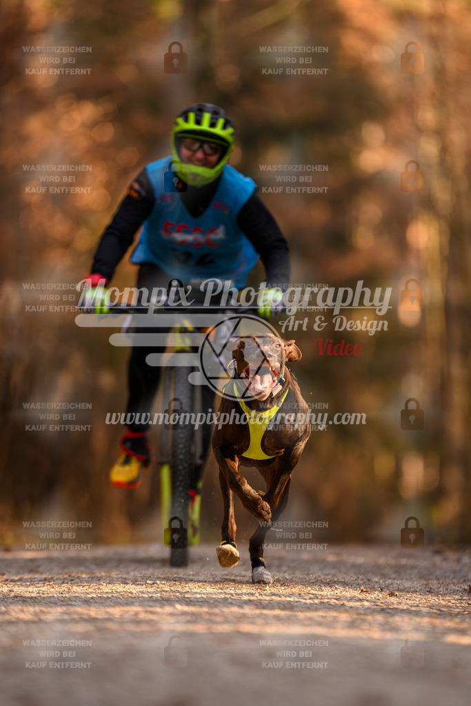 MompixPhotography_DM_AKDM_SO_2025_Scooter-158 | PayLife