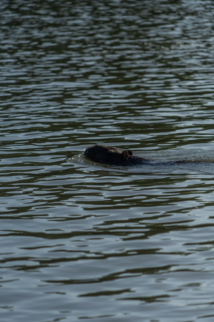 20251114-DeltaTour-0011 | paulependelt - Realisiert mit Pictrs.com