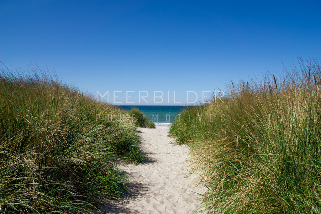 Sanfte Dünen an der Ostsee II | Der Dünenweg erstreckt sich direkt zum Strand und schlängelt sich durch die sanften Dünenlandschaft. Es ist ein Maitag, die Sonne strahlt bereits kräftig, während der Wind noch kühl weht. Im Hintergrund erstrahlt die Ostsee in einem leuchtenden Azurblau. Man spürt den feinen Sand, der vom Strand herüberweht, besonders wenn man den Windschatten verlässt. Ein zauberhafter Augenblick, begleitet vom beruhigenden Rauschen der Ostsee.