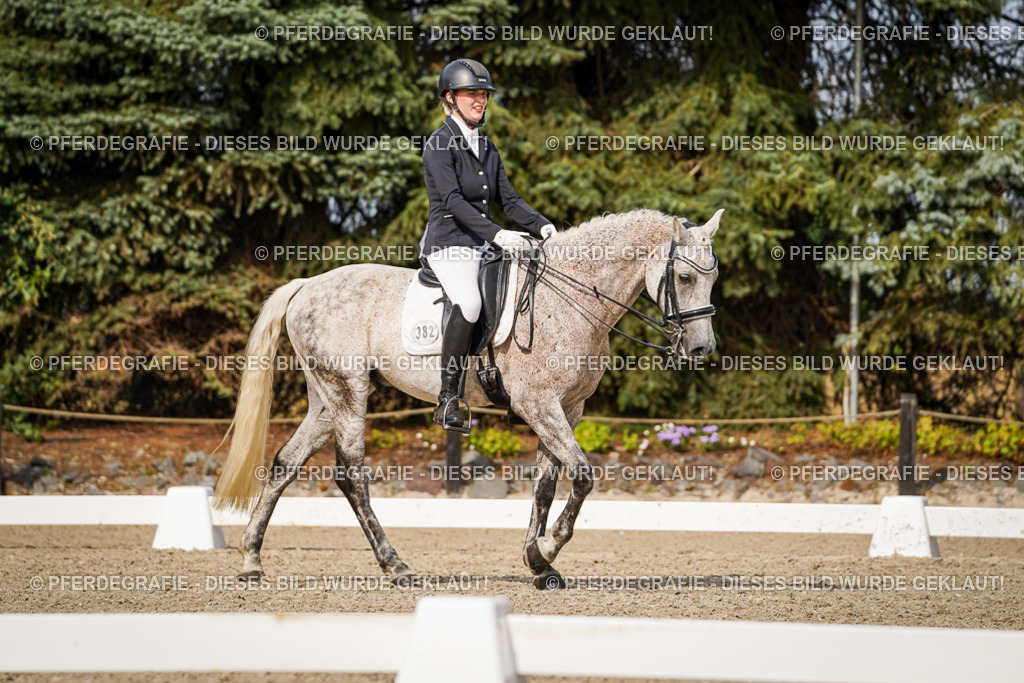 DSC07089 | Pferdegrafie