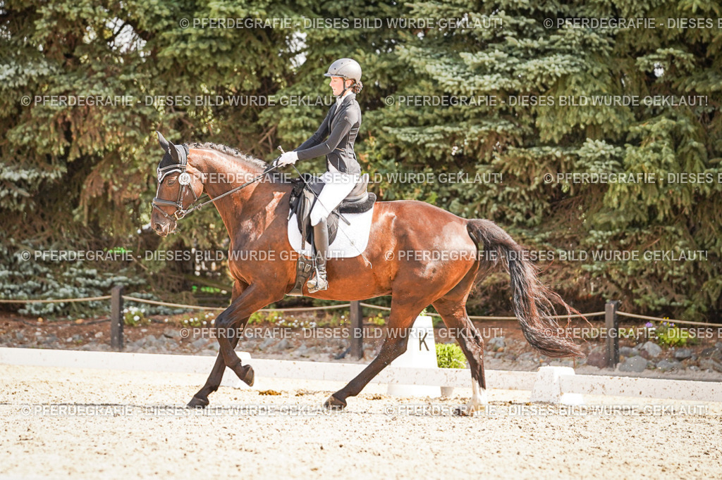 DSC00897 | Pferdegrafie