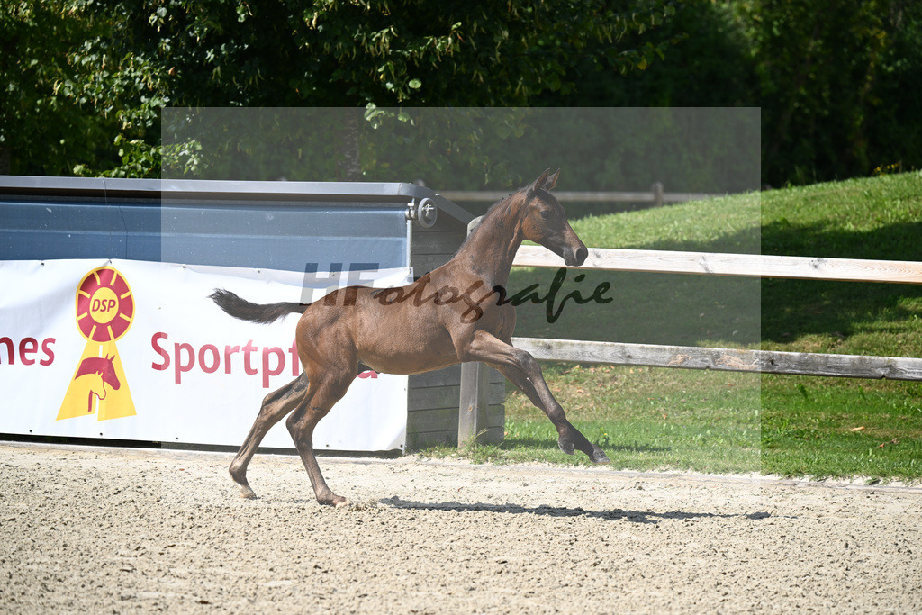 Escaneno x Dante Weltino_HF_Ruth_29240292 | hf-fotografie - Realisiert mit Pictrs.com