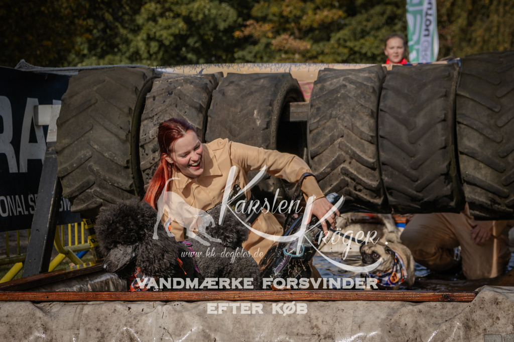 1401_ZZ93749 | kk-dogfotos